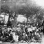 Maori Picnic, Pigeon Bush, Wairarapa